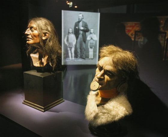 Nineteenth century models of heads of a Botoduco man are shown at a new exhibition at the Quai Branly museum in Paris, Monday Nov. 28.